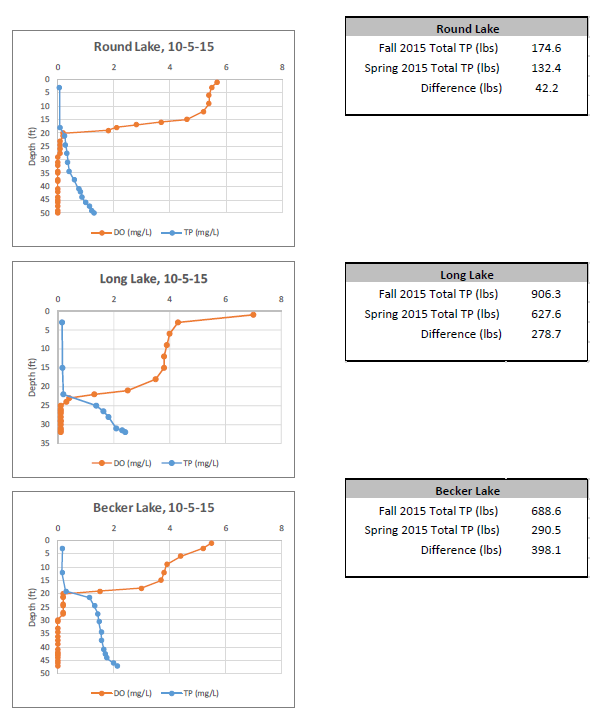 Turnover P Profiles.png