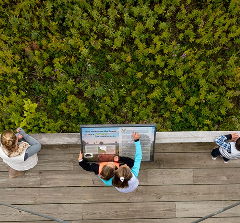 Calumet County visitors looking at map