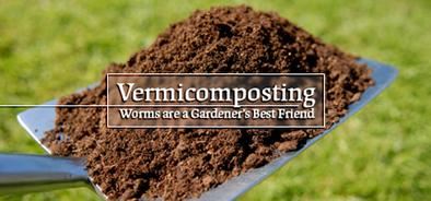 Vermicomposting - Worms are a gardeners best friend