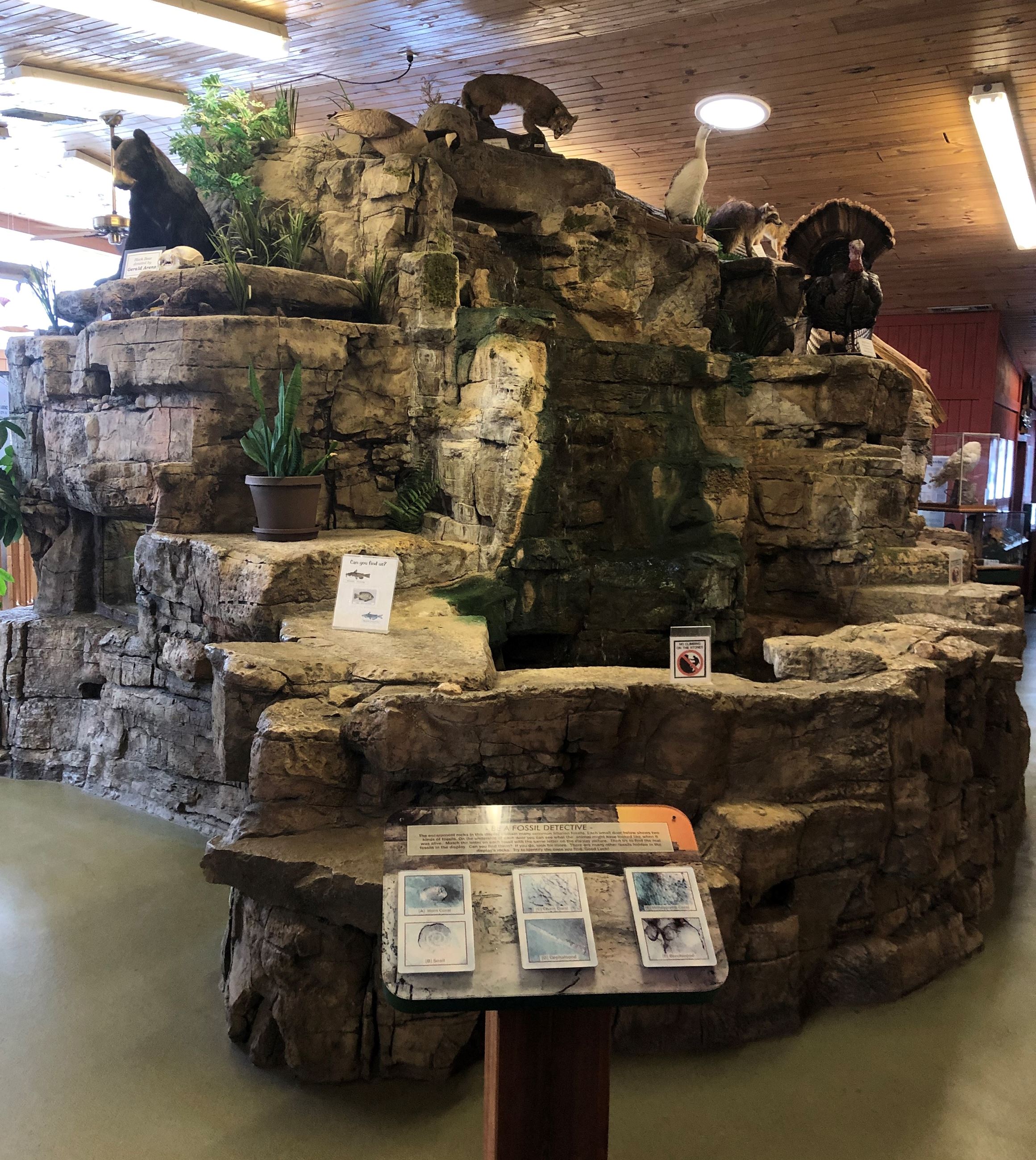 An indoor rock structure with a waterfall and pond. There are taxidermed animals on the rocks.